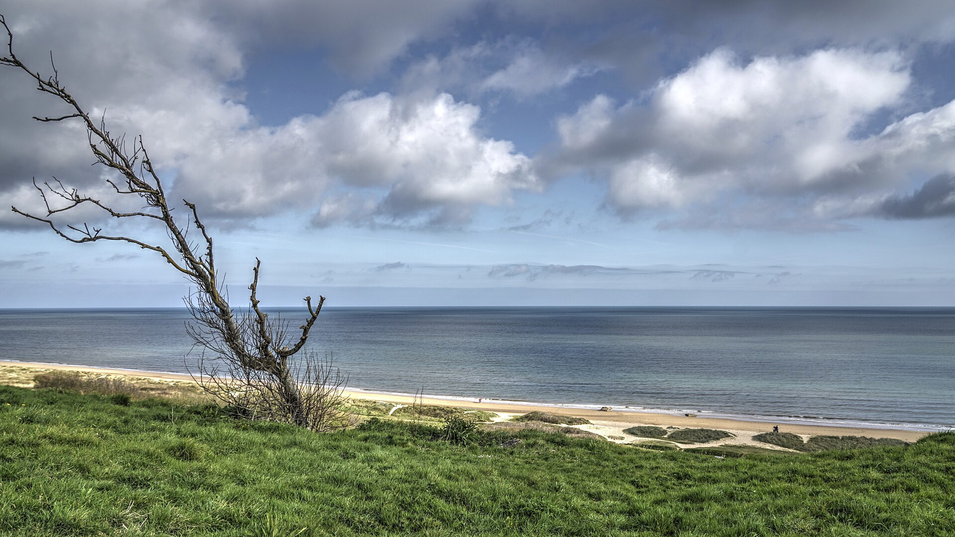 Normandy D-Day